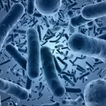 Bakterije kao uzrocnici karcinoma