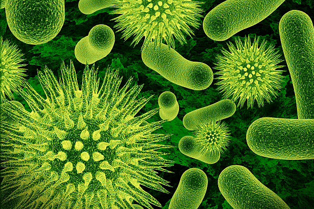 Realistic rendering of bacteria - in green colors